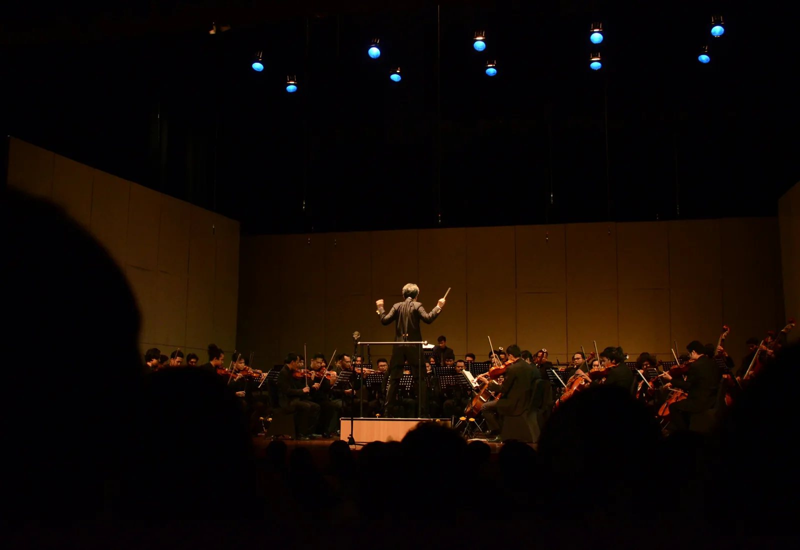A conductor leading a full orchestra on stage in a concert hall, representative of the Strauss Philharmonic performing the evening's programme